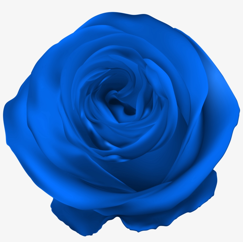 Blue Rose Png Clip Art - Rosas Violetas Png, transparent png download
