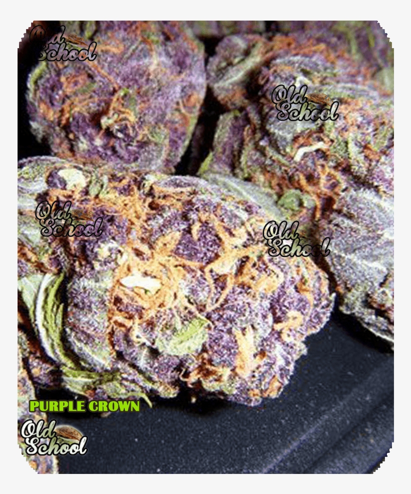 Yellow And Purple Weed, transparent png download
