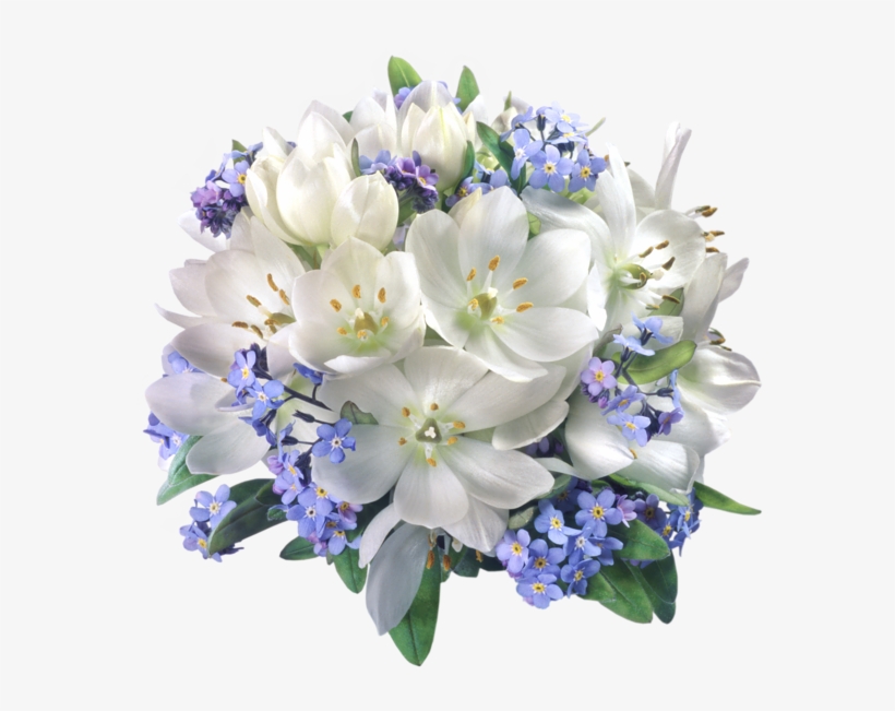 0, - White And Blue Flowers Png, transparent png download