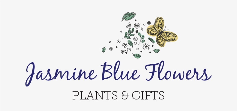 Jasmine Blue Flowers Plants & Gifts - Jasmin Flowers Logo Png, transparent png download