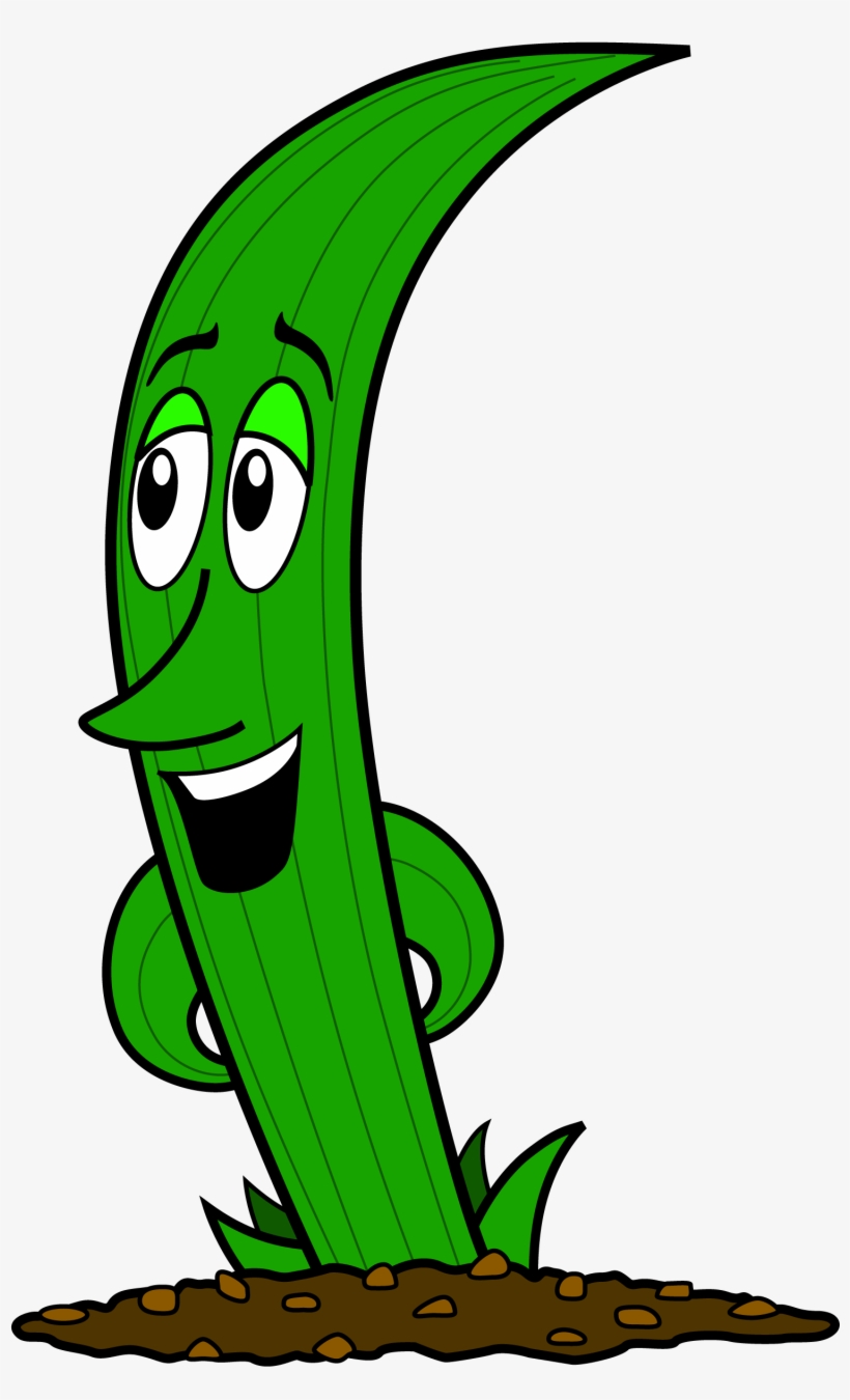 Fez Says - Brown Patch, transparent png download