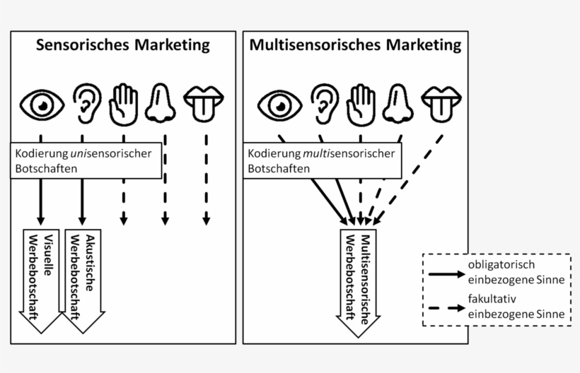 Sensorisches Marketing Versus Multisensorisches Marketing - Sensory Branding, transparent png download