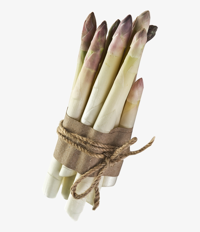 Asparagas - Asparagus White Png, transparent png download