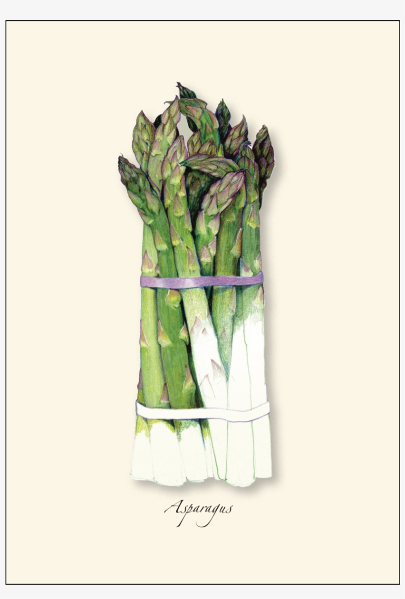 Shopping Cart -  -  - Drawing, transparent png download