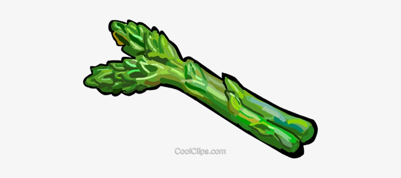 Asparagus Royalty Free Vector Clip Art Illustration - Asparagus Clipart, transparent png download