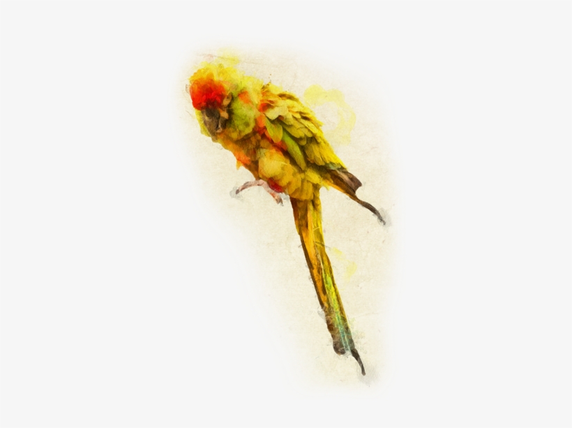 At That Time, There Were Only A Few Very Expensive - Red Front, transparent png download