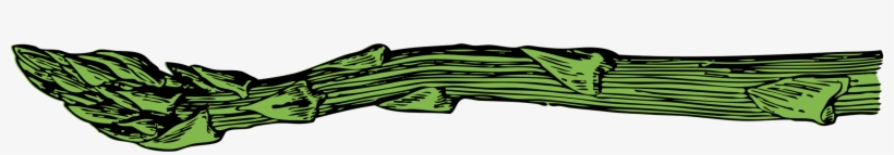 Banner Free Of Free Image - Garden Asparagus, transparent png download