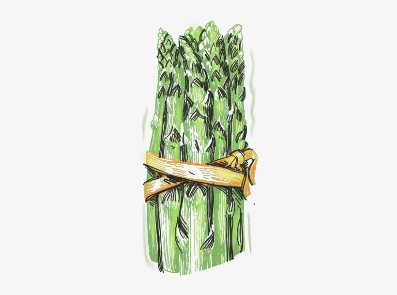 Asparagus - Green, transparent png download
