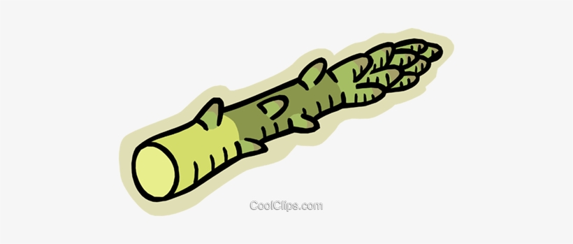 Asparagus Royalty Free Vector Clip Art Illustration - Spargel Clipart, transparent png download