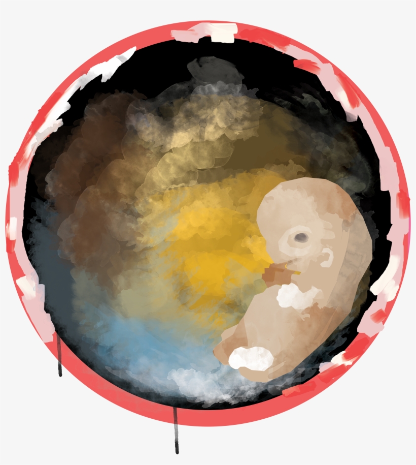 This Is An Illustration For An Embryo - Circle, transparent png download