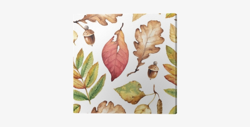 Watercolor Illustrations Of Leaves - Leaf, transparent png download