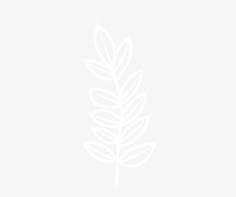 Durango Nature Studies, transparent png download