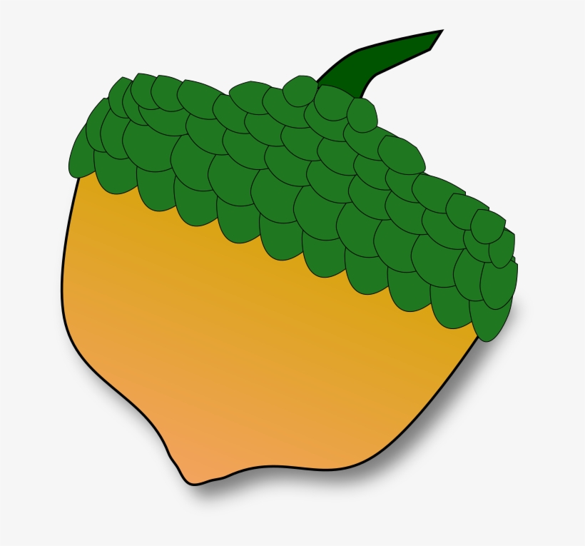 Oak - Acorn, transparent png download