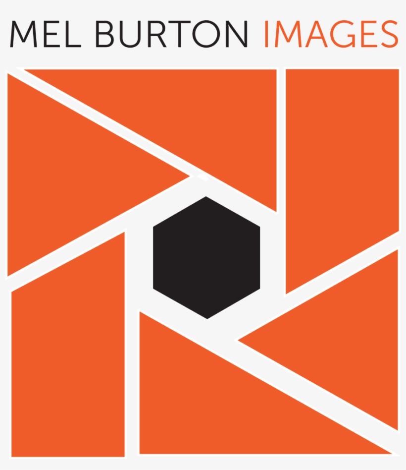 Graphic Design, transparent png download