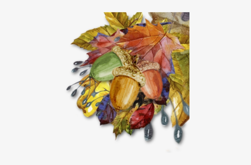 Thank You To Our Sponsors - Autumn, transparent png download