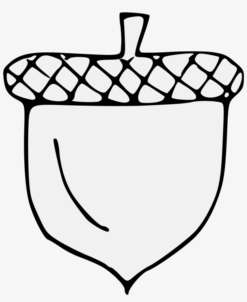 Acorn - Clip Art, transparent png download