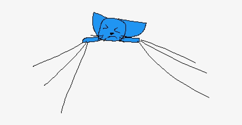 Sketch, transparent png download