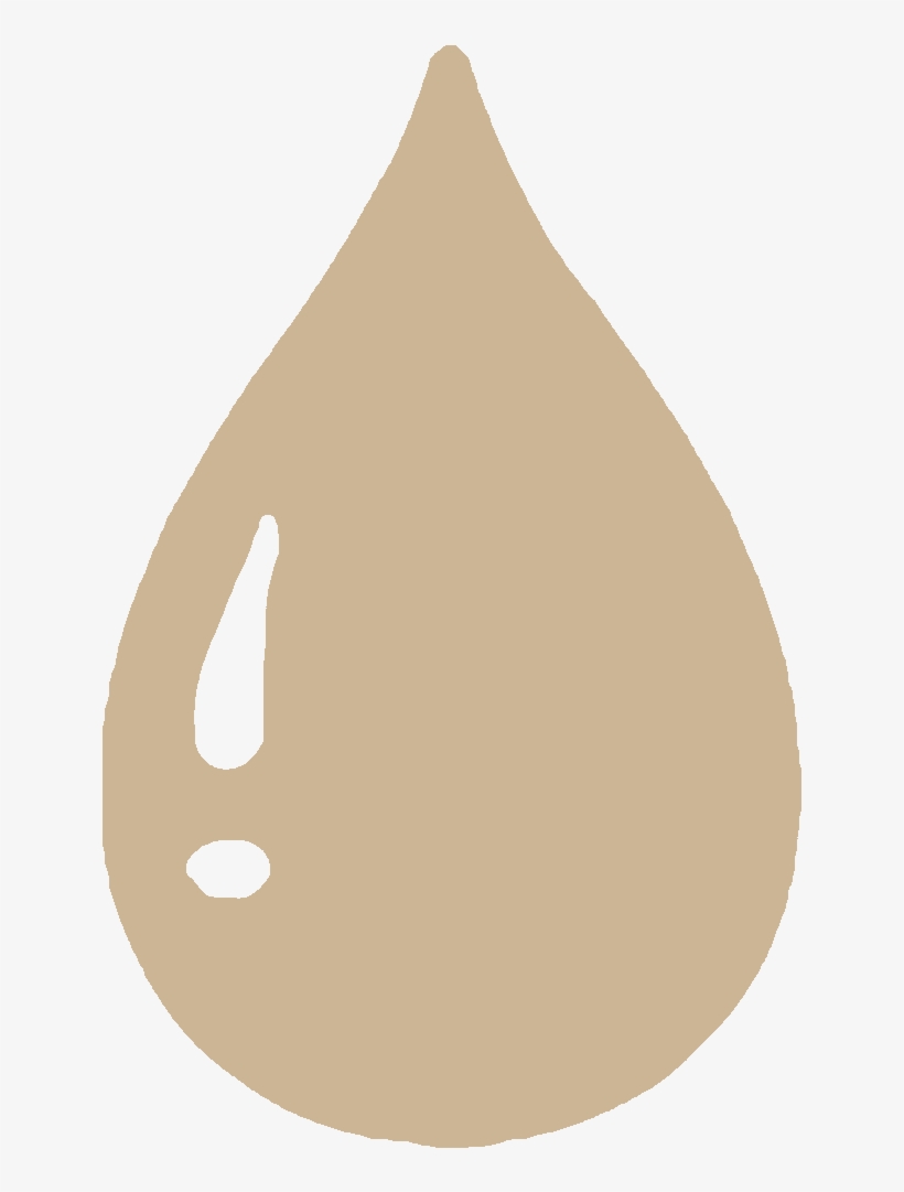 Peach, transparent png download