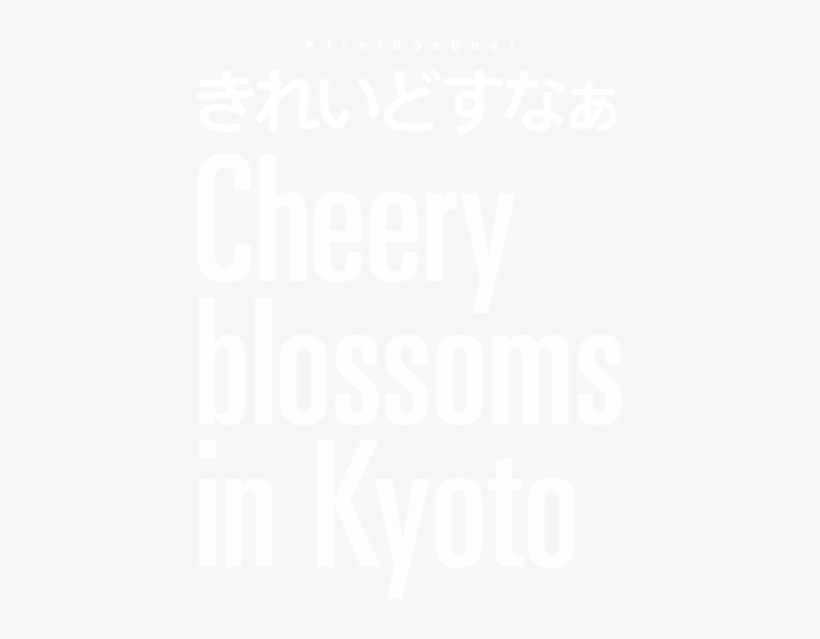 きれいどすなぁ Cheery Blossoms In Kyoto - Black Cherry Blues, transparent png download