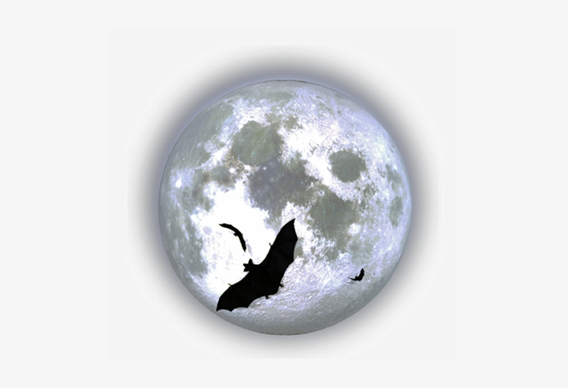 Moon-019 - Moon-200 Round Coaster, transparent png download