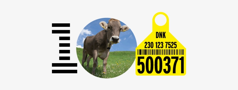 Ibm100 Optimizing The Food Supply Iconic Mark - Ibm Cow, transparent png download