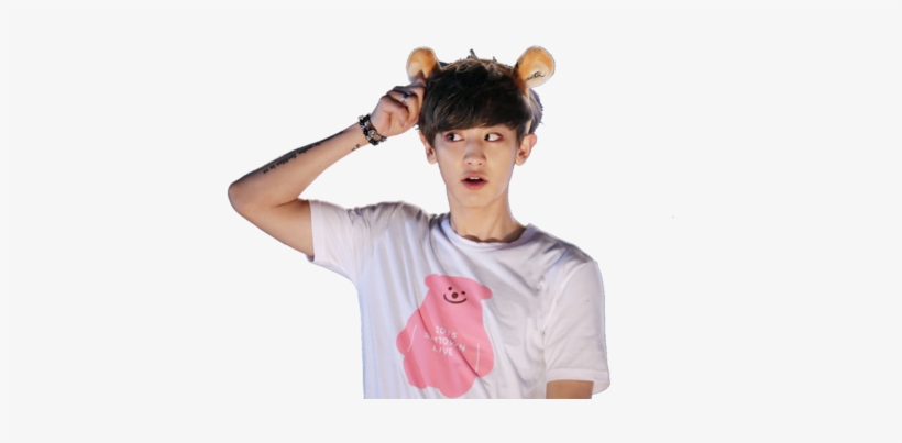 Chanyeol Transparent Overlay - Chanyeol Png, transparent png download