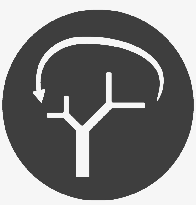 Decorative - Circle, transparent png download