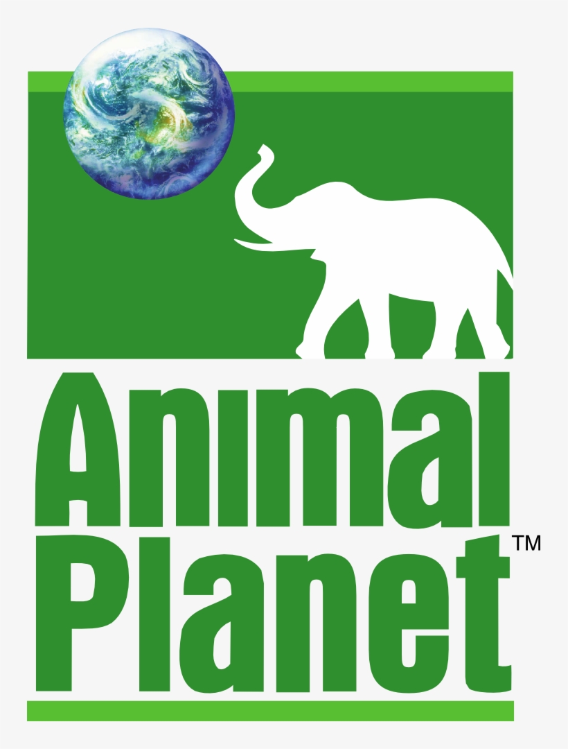 Owner Of The Brand - Zoo On Animal Planet, transparent png download