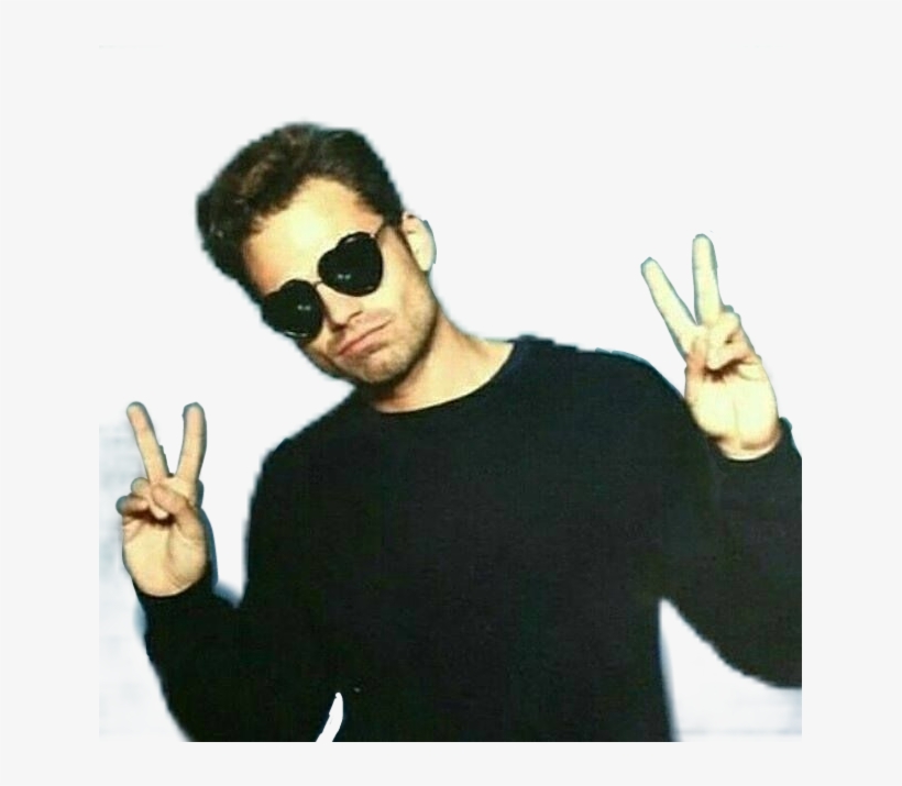 Sebastian Stan Middle Finger, transparent png download