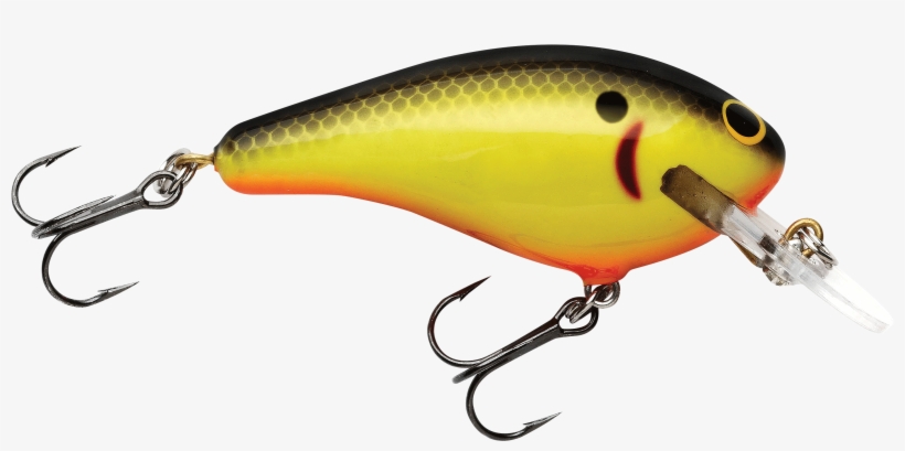 Fishing Lures Png Transparent Png 2894x1310 Free Download On Nicepng