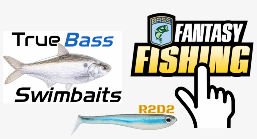 Bassmaster Fantasy Fishing - Fishing, transparent png download