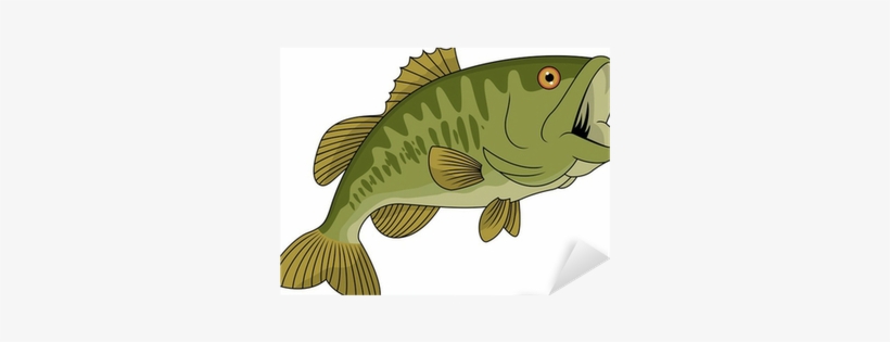 Fish Vector Stock, transparent png download