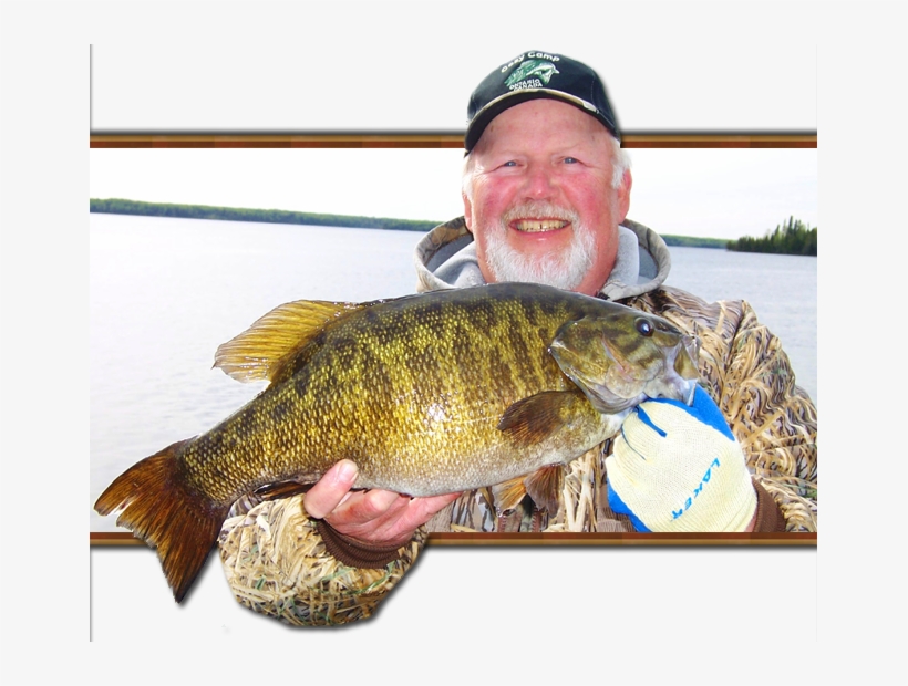 Smallmouth Bass Are Not The Dominant Species In The - Bass Fish Ontario, transparent png download