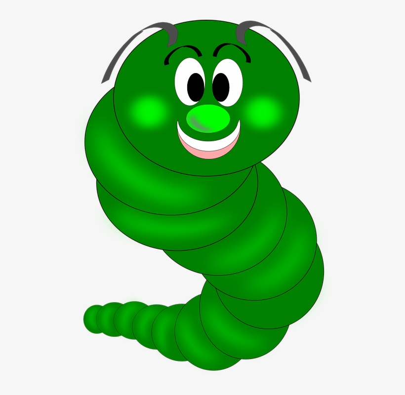 Collection Of Free Erucae Caterpillar Download On - Glow Worm Clipart, transparent png download