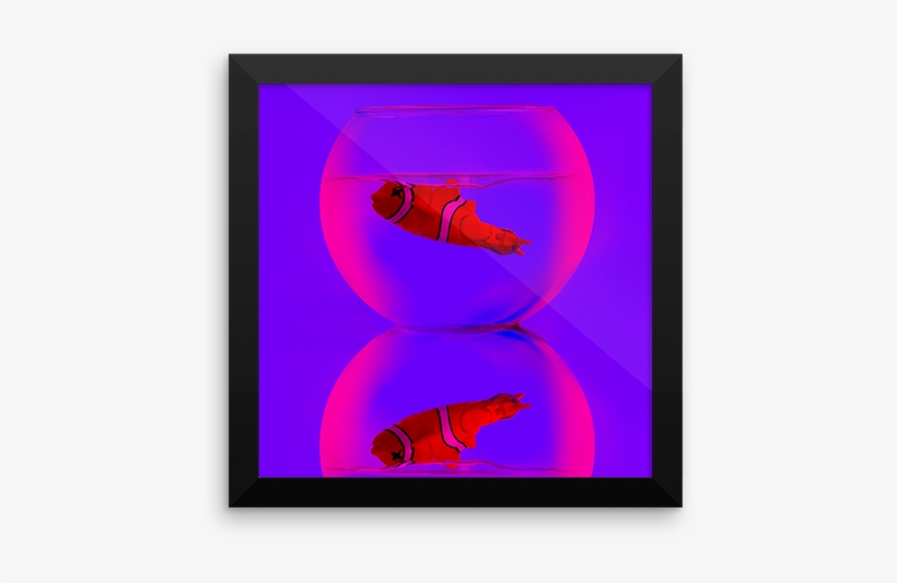 Dead Fish Framed Poster - Circle, transparent png download