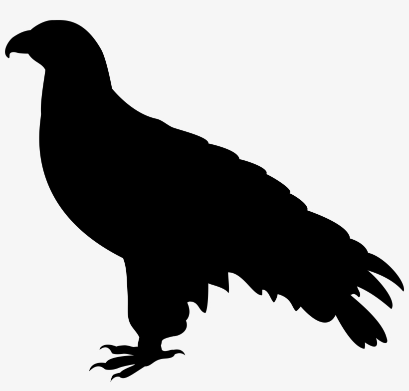 Falcon Png, transparent png download