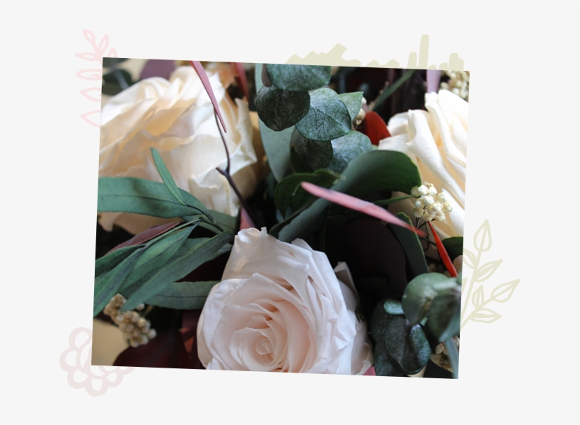 Shop Flowers - Garden Roses, transparent png download