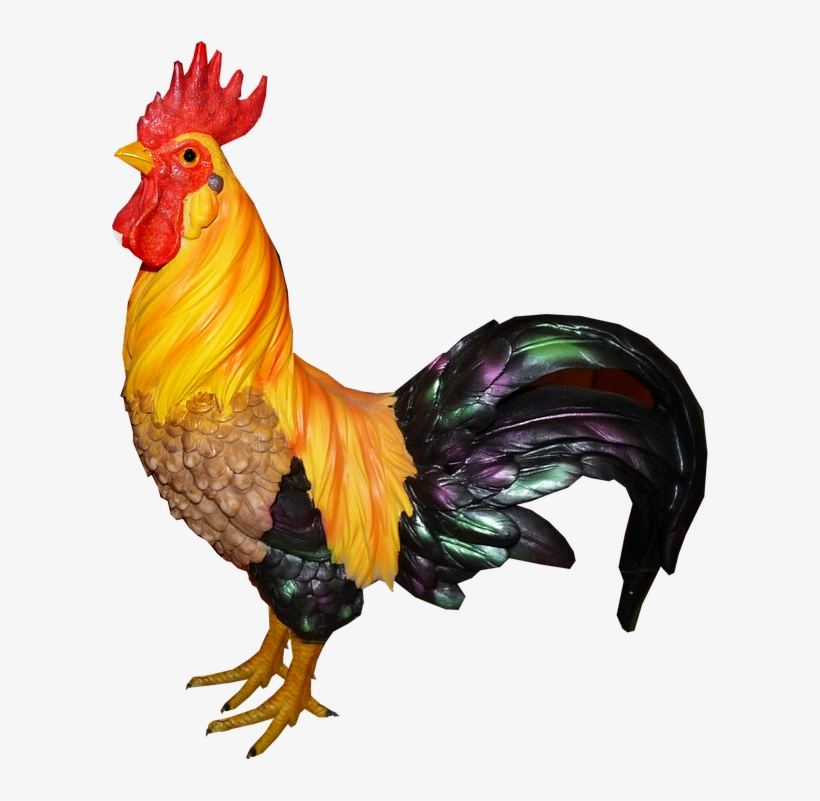 Kogut Png, transparent png download