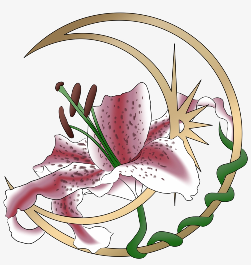 Most Of You Know Me As Lily - Lily Stargazer Png, transparent png download