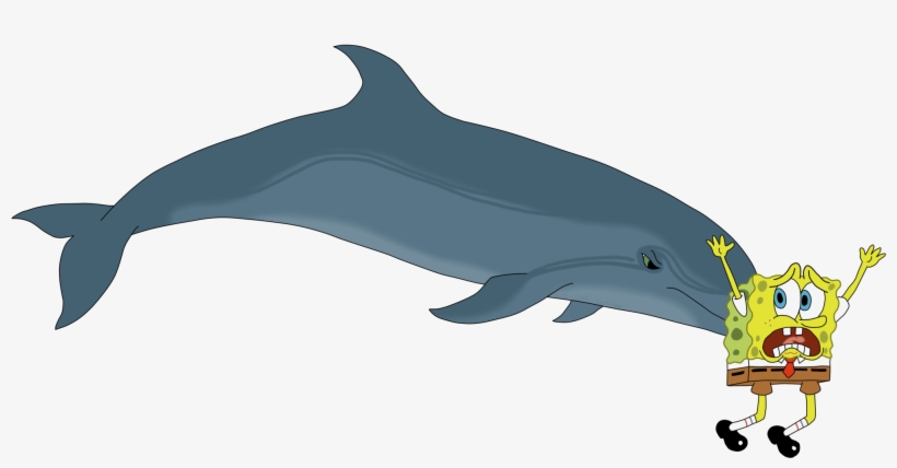 Image Royalty Free Download A Bottlenose Dolphin Sponging - Bottlenose Dolphin, transparent png download