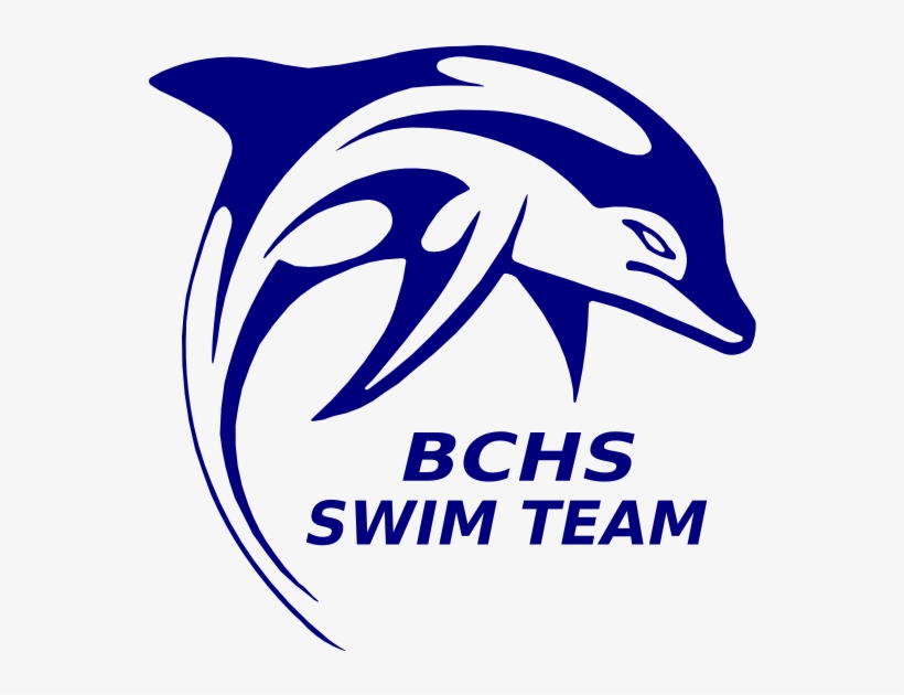 Graphic Stock Bchs Swim Team Dolphin Clip Art At - Jkl Dolphins, transparent png download