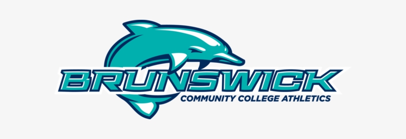 Welcome To The Home Of The Dolphins - Brunswick Community College Dolphins, transparent png download
