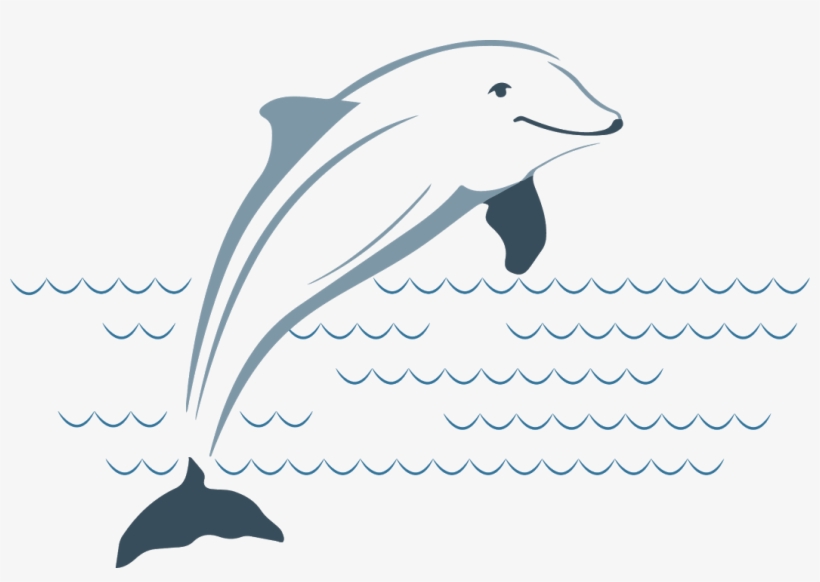 Dds Vs Png Dolphin Clipart Library Stock - Plumbing, transparent png download