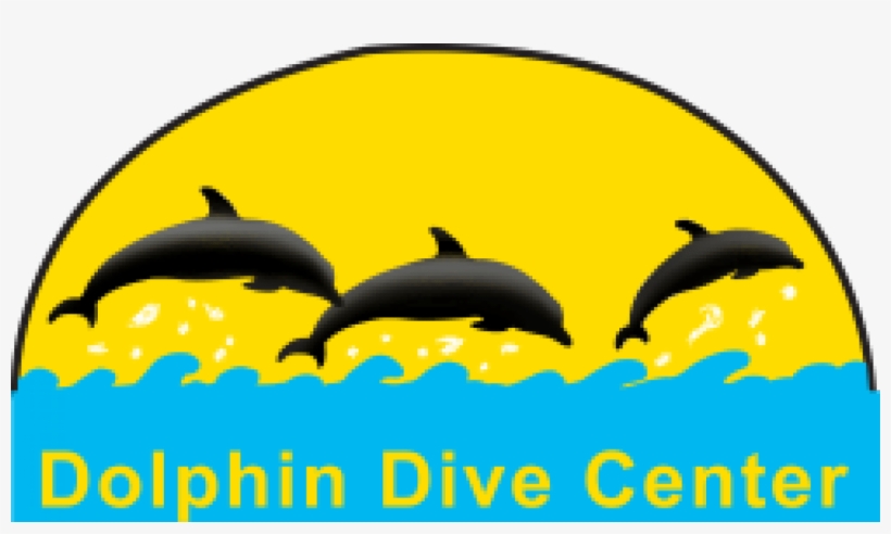 Cropped Dolphine Dive Logo - Logo, transparent png download
