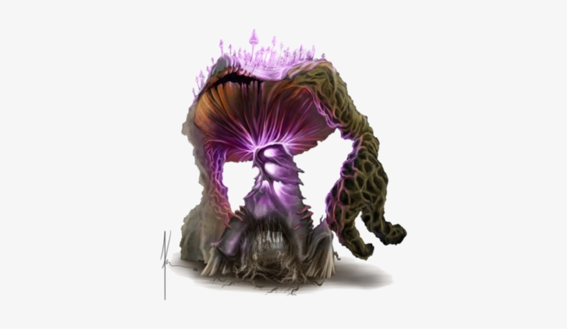 As - Allan Fung, transparent png download