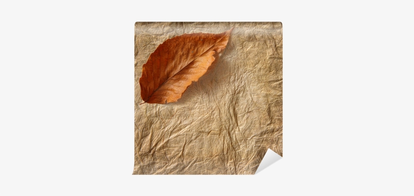Closeup Of Old Parchment Paper With Leaf Wall Mural - Parchment, transparent png download