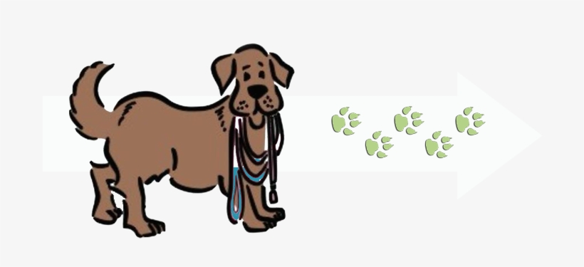 To Help Our Dogs Find The Right Homes, And To Help - Saving Grace Animals For Adoption, transparent png download