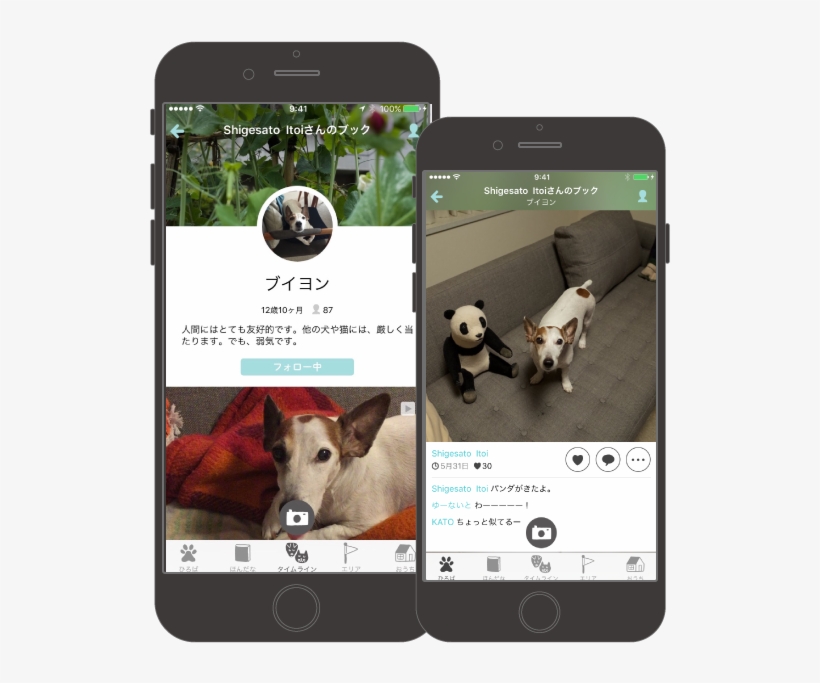You Can Post Photos Your Family Pet - Book, transparent png download