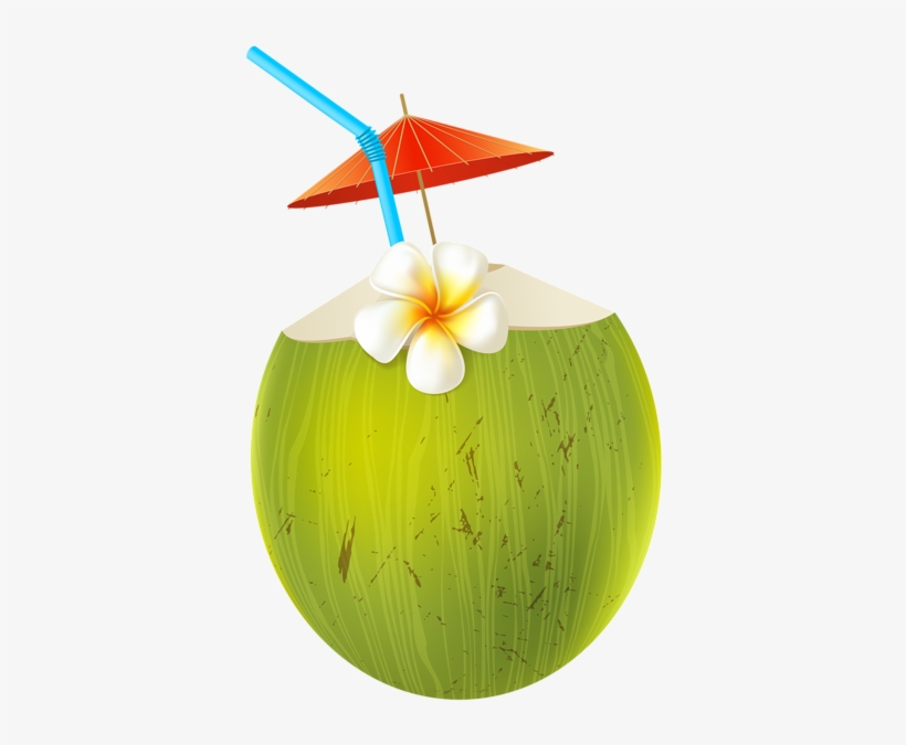 Pin By Shwe Myint On Png Pictures - Png Green Coconut Cartoon, transparent png download