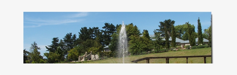 Cropped Floating Fountain Pump Installed 1 - Tourist Attraction, transparent png download